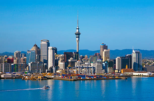 auckland Picture