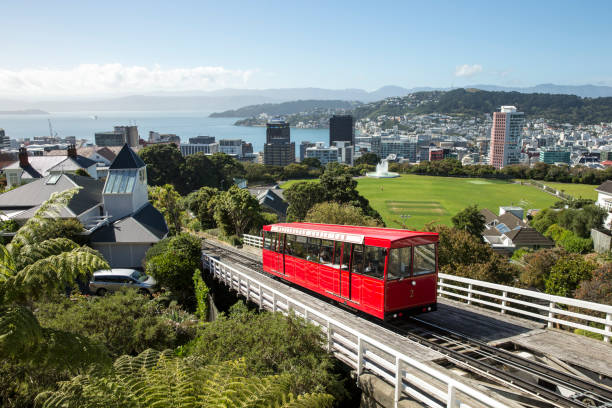 wellington nz Picture